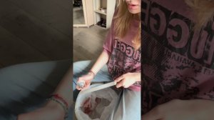 биотехнологии для космических полетов