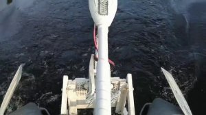 УРДОМСКИЙ  РАЗВОРОТ. Лодка ПВХа. Электрический  мотор.Постановка Александра  Белых.