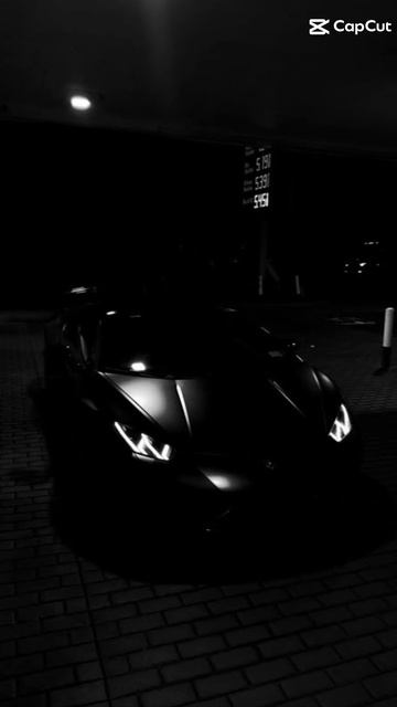 эдит ламборгини