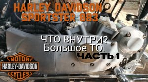 Harley Davidson Sportster 883 - что внутри? Большое ТО. Часть 1.