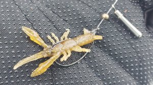 киллер раки фри риг и щукан дикий