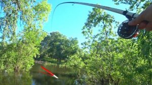 ДУМАЛ БУДЕТ КРУПНЫЙ КАРАСЬ..НО ПРИШЛИ ОНИ! Рыбалка на поплавок