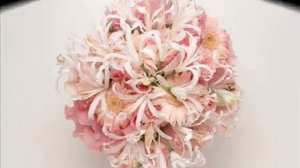 Очарована околдована - Гимн Женщине