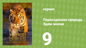 Первозданная природа. Эдем жизни 9 серия (документальный сериал, 1997)