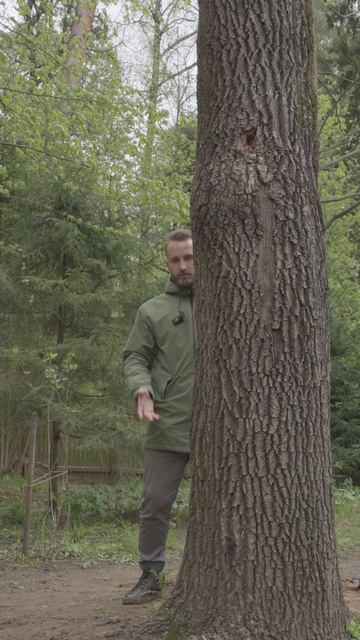 Срубать или нет?