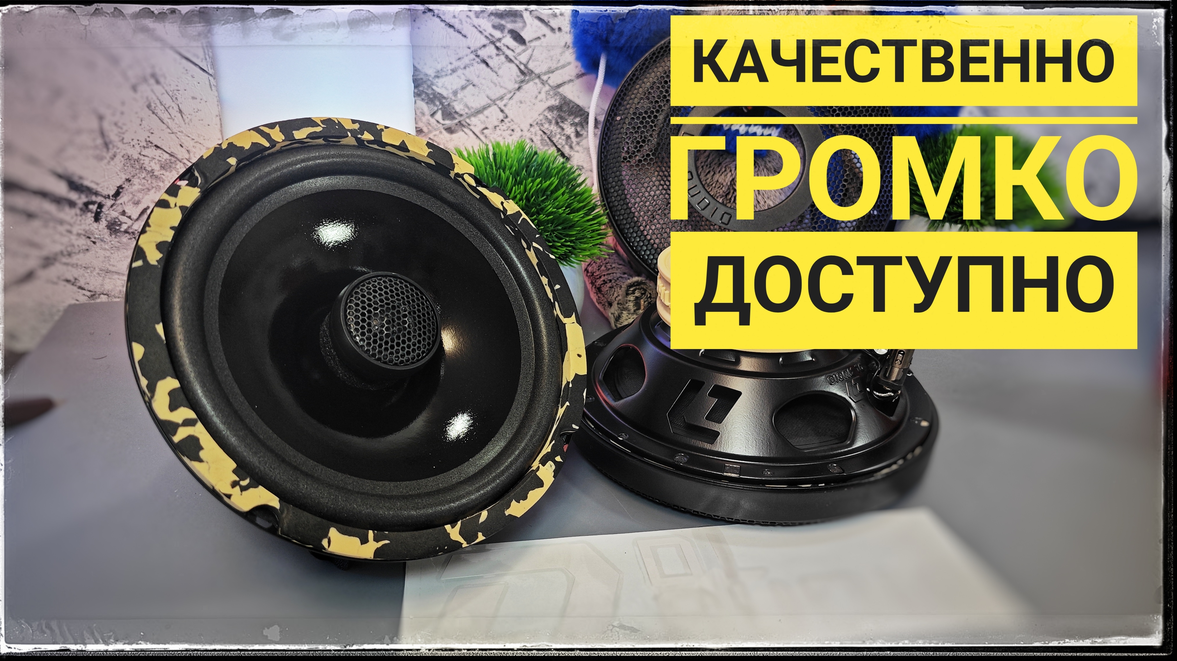 Качественные SQ динамики DL Audio Python 165 Coax