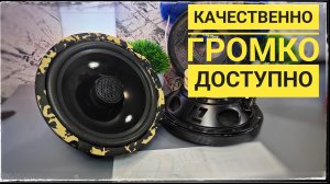 Качественные SQ динамики DL Audio Python 165 Coax