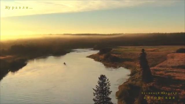 Журавли...