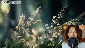 Кривое зеркало.