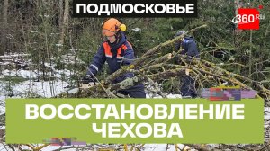Чехов против циклона: последствия непогоды в Подмосковье