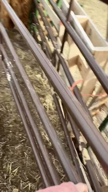 Вечер на ферме