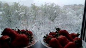 Снег кружится