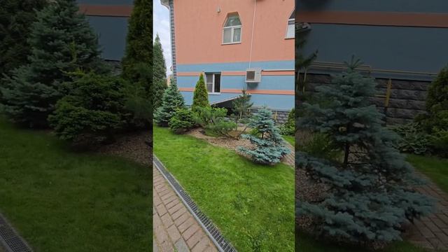 прогулка по летнему саду 

всё требует внимания тогда сад будет красивым

Химки Московская область