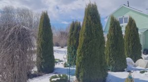 Пришла на дачу и ахнула, всё в снегу 27.04.26г.❄️ Ленинградская область.❄️