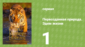 Первозданная природа. Эдем жизни 1 серия (документальный сериал, 1997)