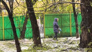 Сейчас 27.04.2026г., позор работы деятельности Главе управы района Хорошево-Мневники по г. Москве