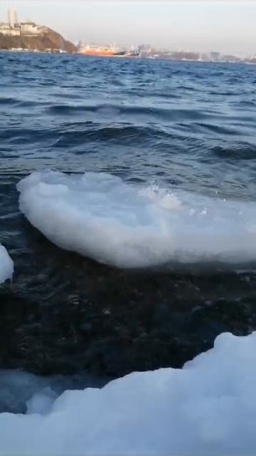 А вы видели море зимой?