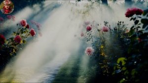 Сад мой, жди, весна придёт