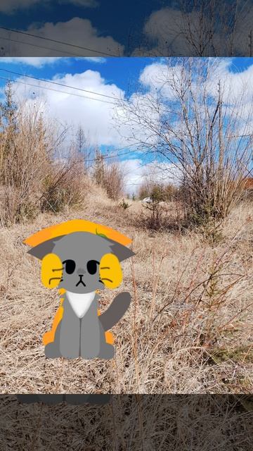 я незн что это