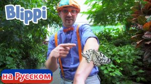 Песня «Музей Науки» | Блиппи на Русском | Изучай этот Мир вместе с Блиппи | Blippi