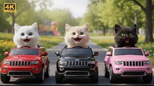 Мама-Кошка Спасает Своего Котенка От Черного Джипа… Вы Не Поверите 😱🚙🐱
