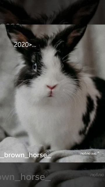люблю﹥... смотреть онлайн