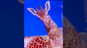 Selerkna Я НЕ СКОРО ВЕРНУСЬ С ВОЙНЫ