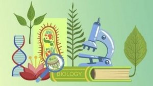 Биологии 10 класс. Состав и строение белков.