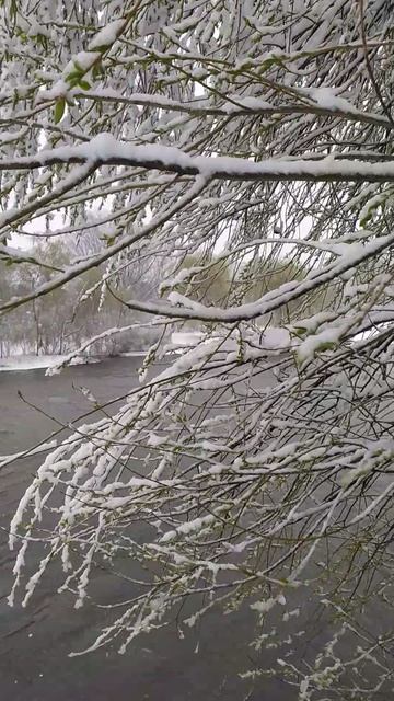 27.4.26 Москва, Южное Бутово