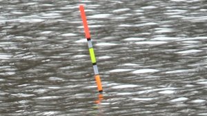 Простой Фидерный Монтаж! На р.Оке 26 апреля! Рыбалка на Карася! ПОПЛАВОК, ПОКЛЁВКИ, КРАСОТА!