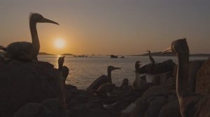 Динозавры (2026) ч.4 - заключительная