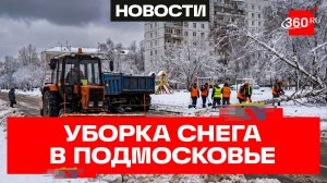 Дороги в снегу, рухнувшие деревья – уборка Подмосковья после циклона
