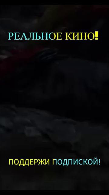 Что посмотреть. На реальных событиях.