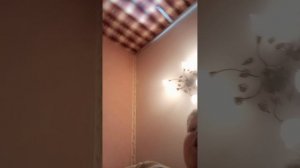 3069.mp4