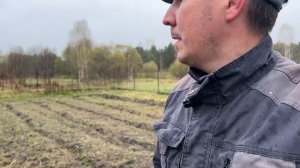 Собираем и сушим смородиновый лист для чая.