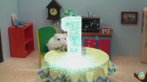 Приключения хомячка — Путешествие по миру волн! часть 6