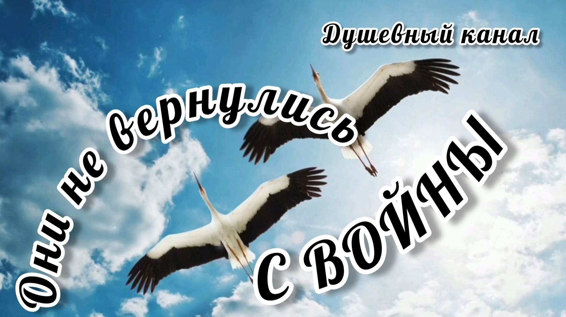 ОНИ НЕ ВЕРНУЛИСЬ С ВОЙНЫ