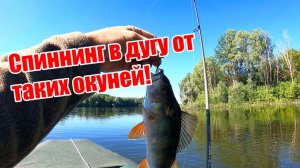 Окунь на микроджиг в начале лета