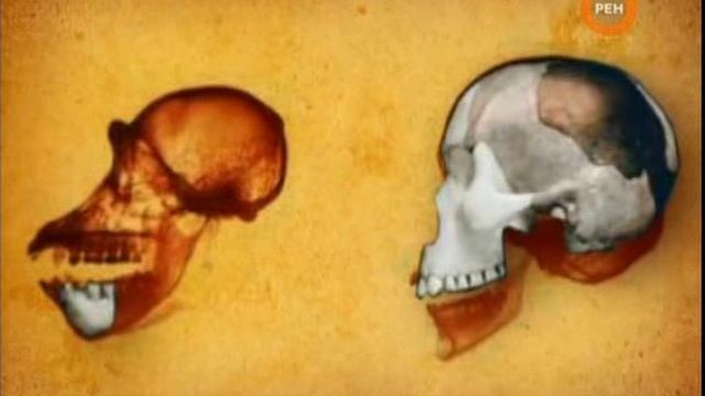 Ложь во имя науки