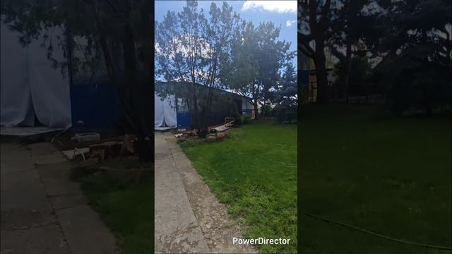 #моясемья #небеснаясемья