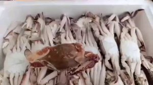 Азиатский краб с/м