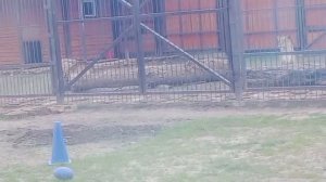 DXWC2984 Видео от Ивана 27.04.2026