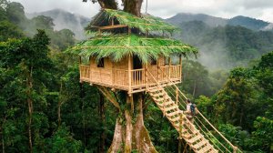 Мужчина строит дом на дереве высотой в небо у черта на куличках. Бушкрафт