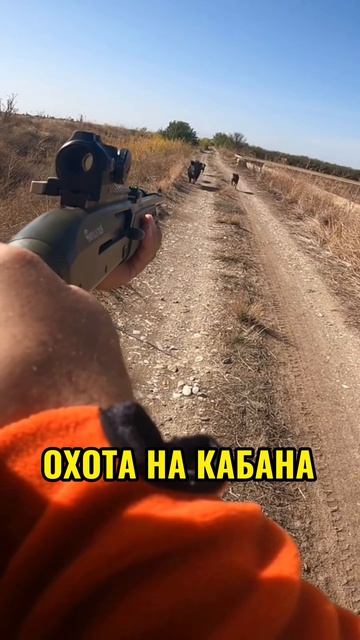 Охота на кабана 🎯