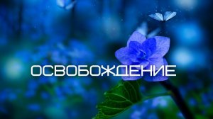 Освобождение. Часть 4. Куда бы ты ни шел  - ты уже там. Джон Кабат-Зинн аудиокнига Nikosho