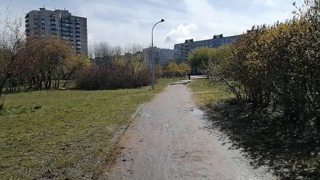 Раскопки на Джона Рида