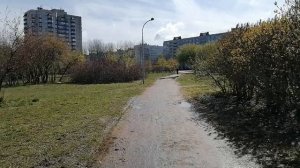 Раскопки на Джона Рида