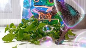 пиар для канала Ksusha /Horse Collekta