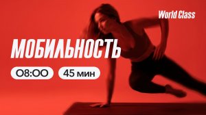 МОБИЛЬНОСТЬ с Альбертом Даниловым | 29 апреля 2026 | Онлайн-тренировки World Class
