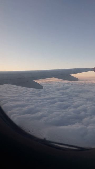 МЫ В САМОЛЁТЕ